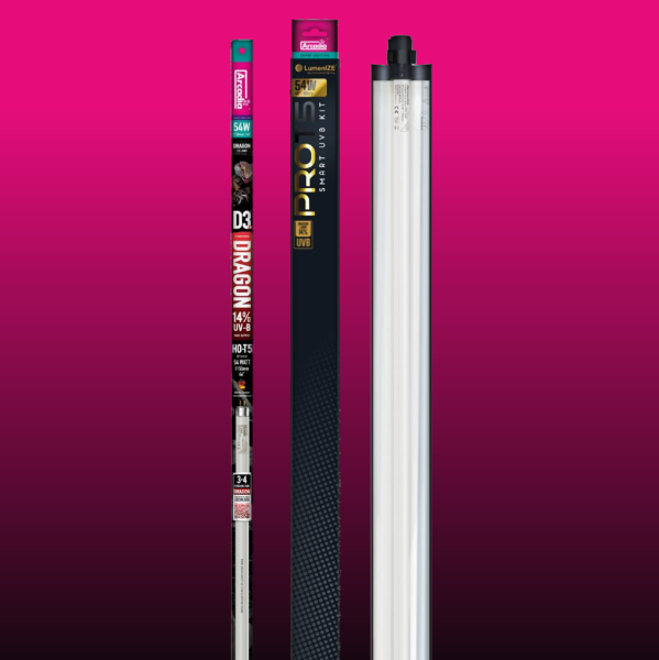 Arcadia LumenIZE Pro T5 UVB Kit, D3+ Dragon, 14% UV-B