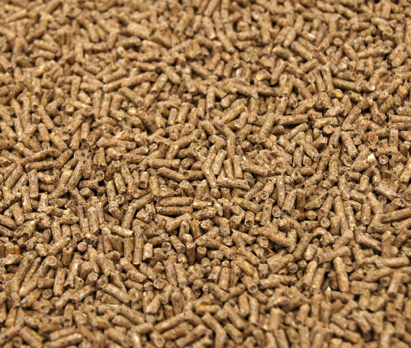 Spezialfutterpellets für Heimchen &amp; Grillen