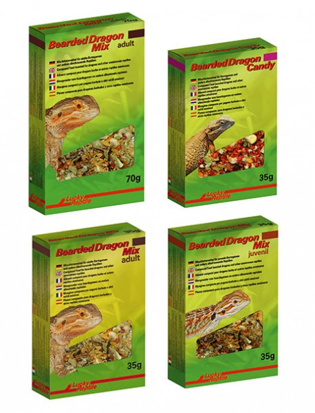 Lucky Reptile Bearded Dragon Adult &amp; Juvenile