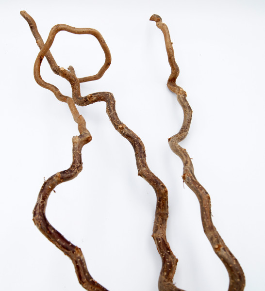 Haselnussstange gedreht ⌀ 1-2cm, 80-120cm